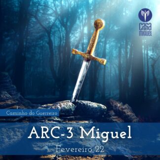 ARC-3: Miguel